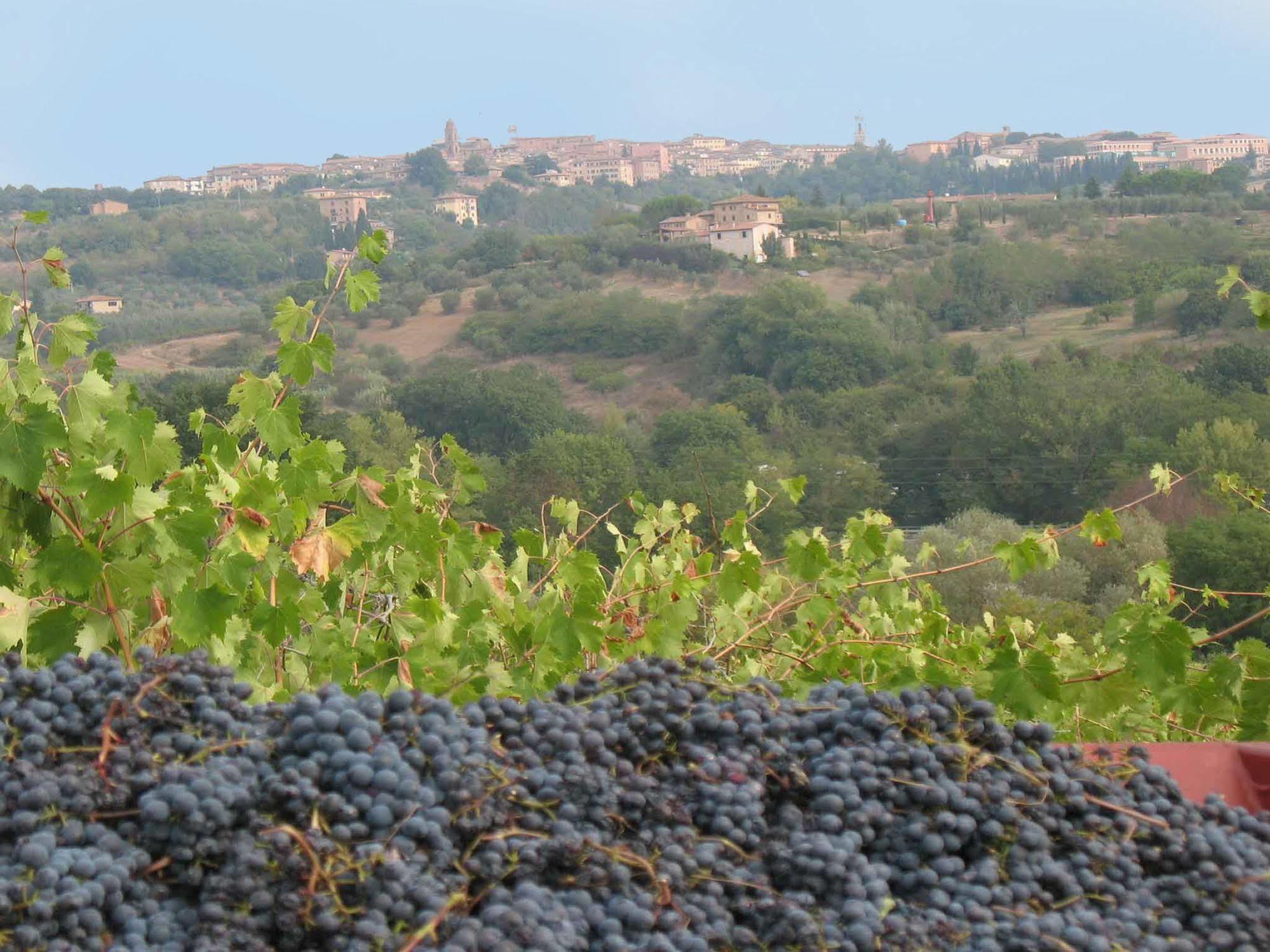 Agriturismo La Torretta Farm stay *