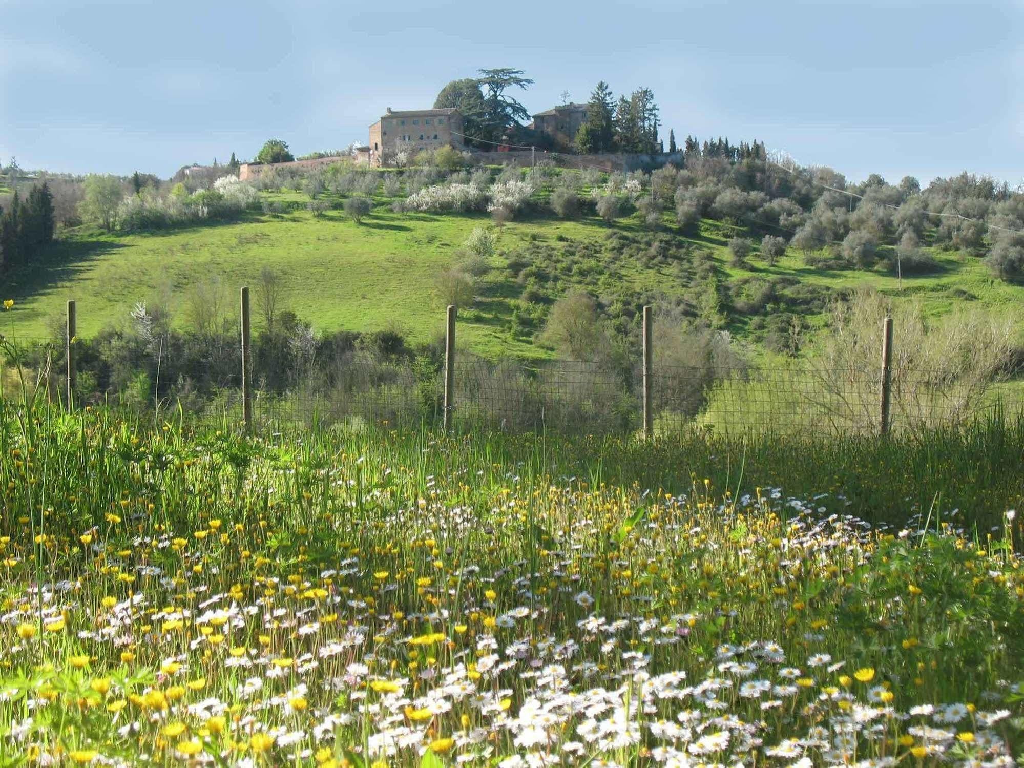 Agriturismo La Torretta Farm stay
